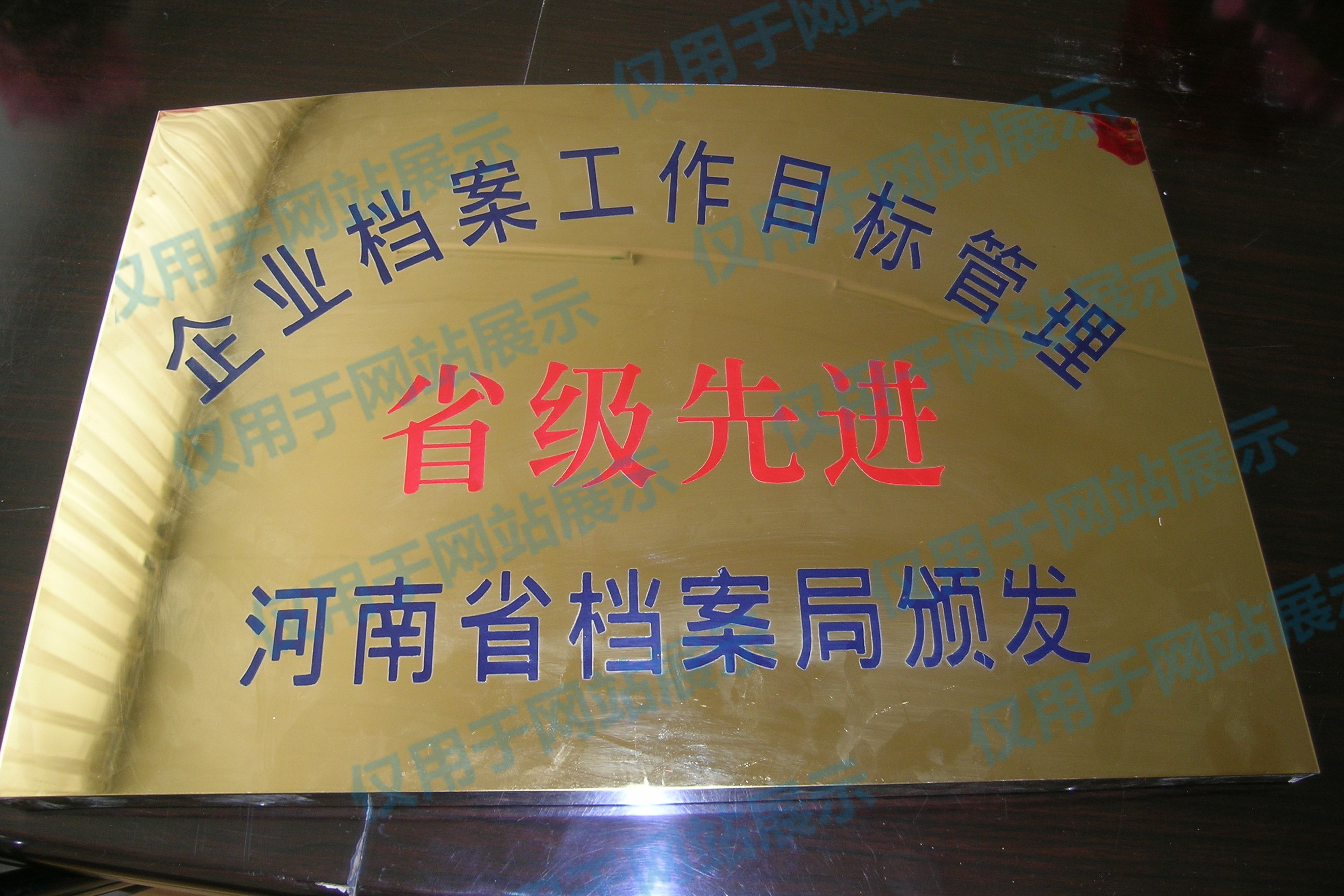 省級檔案管理先進企業